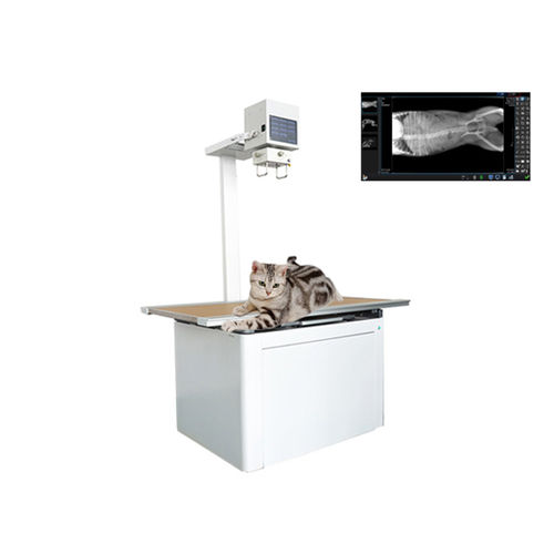 Sistema di radiografia veterinaria digitale - Shandong Newheek Image Equipment - con tavolo