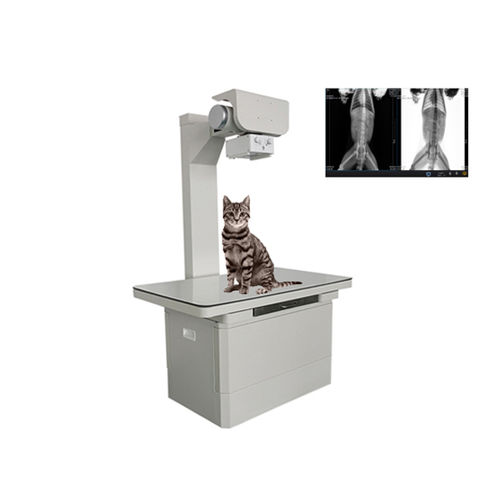 Sistema di radiografia veterinaria digitale - Shandong Newheek Image Equipment