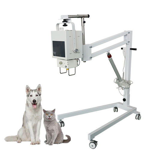 generatore di raggi X per radiografia veterinaria - Shandong Newheek Image Equipment