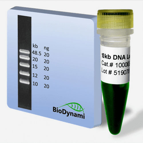 Reagente marcatore del peso molecolare - 10006 series - BioDynami - per quantificazione di DNA