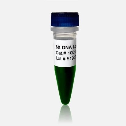 Reagente tampone di caricamento - 10010 series - BioDynami - colorante / per Rt-qPCR
