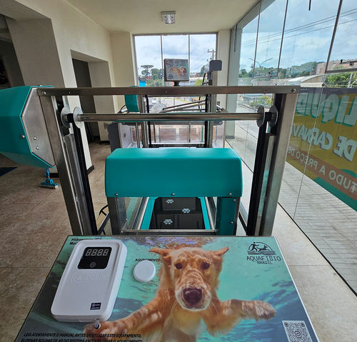 Tapis roulant veterinario acquatico - Hidromaq Tecnologias Eireli - per cani