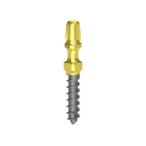 Pilastro dentale per impianto cilindrico conico - Cortilog TCL - Bionika Medline Kft. - in titanio / esterno / a vite