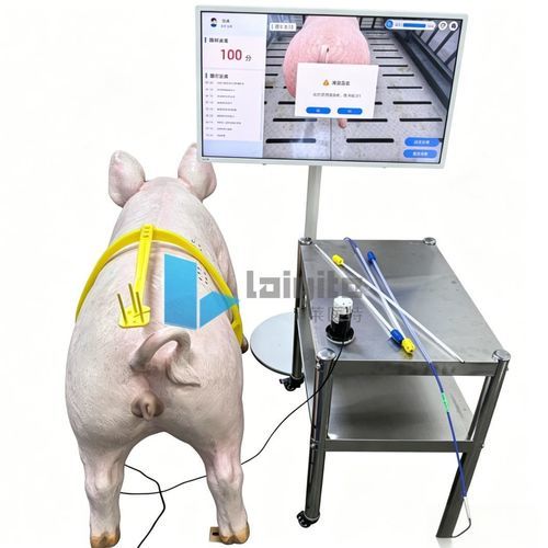 Simulatore di monitoraggio - Nanjing Laiyite Electronic Technology Co., Ltd - didattico / veterinario / immersiva
