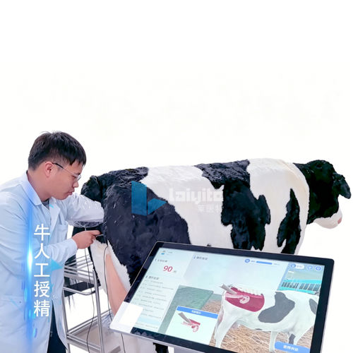 Simulatore per RCP - Nanjing Laiyite Electronic Technology Co., Ltd - didattico / per subappalto / per chirurgia
