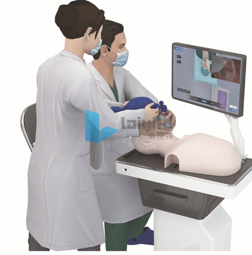 Simulatore per cateterismo endovenoso - Nanjing Laiyite Electronic Technology Co., Ltd - per iniezioni / per gestione delle vie aeree / didattico