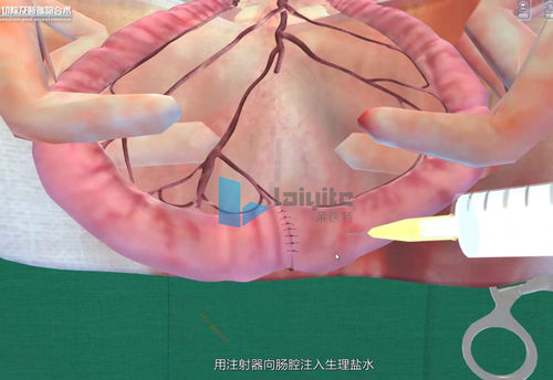 Software di simulazione - Nanjing Laiyite Electronic Technology Co., Ltd - didattico / di valutazione / veterinario