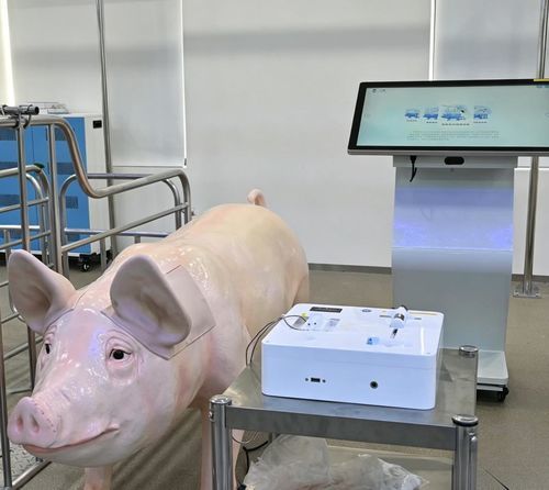 Simulatore veterinario - Nanjing Laiyite Electronic Technology Co., Ltd - per iniezioni intramuscolari / per iniezioni endovenose / per prelievo di sangue