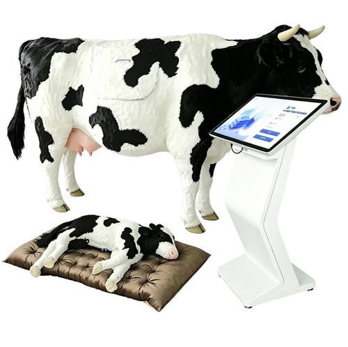 Simulatore veterinario - Nanjing Laiyite Electronic Technology Co., Ltd - di parto / didattico / di bovino