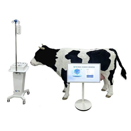 Simulatore veterinario - Nanjing Laiyite Electronic Technology Co., Ltd - per iniezioni / per prelievo di sangue / didattico