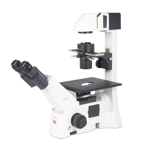 Microscopio ottico - AE31E - Motic Europe - da laboratorio / dritto / Siedentopf