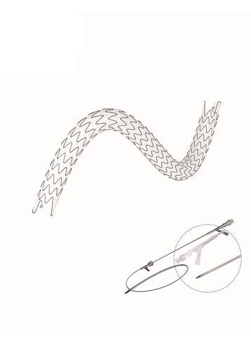 Stent ureterale - EUS series - Hunan Endovascular Device Co., Ltd. - in poliuretano / in nitinol / con rivestimento