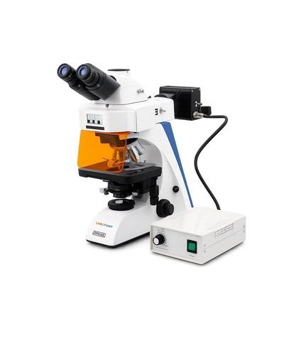 Microscopio ottico - LFM-01 - Labotemp Systems - clinico / per biologia / da laboratorio