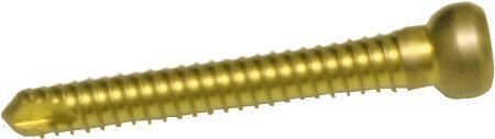 Vite intramidollare per femore - 120 series - hb ortho - per tibia / per trocantere / femorale