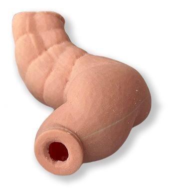 Phantom di colon - Colon - 3D Innovation Lab - per iniezioni / per endoscopia / didattico