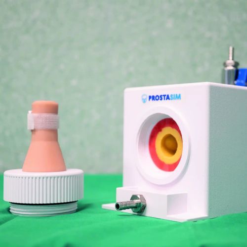 Simulatore per chirurgia - ProstaSim - Urology3D - per cure urologiche / didattico / di resezione transuretrale della prostata