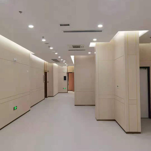 Pannello per ospedale - Changzhou Zhongtian Fire-proof Decorative Sheets Co., Ltd. - camera bianca / tagliafuoco