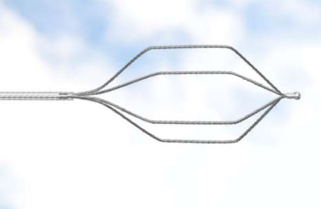 Cestello endoscopico per estrazione di calcolo biliare - Focuz Medical - dritto