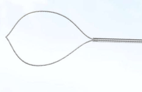 Cestello endoscopico per estrazione di polipi intestinali - AXTEL SNARE™ - Focuz Medical - dritto