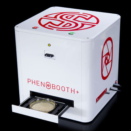 Contacolonie automatico - PhenoBooth+ - singer instruments - automatizzato / da banco / basato su immagini