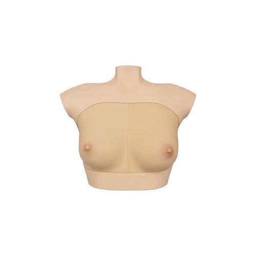 Modello anatomico ghiandola mammaria - BR-B series - SurgMate - di seno / mammario / didattico