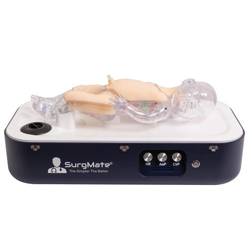 Simulatore di paziente trattamento materno/neonatale - NeoPeds - SurgMate - per cure pediatriche / per ECMO / per ecografia