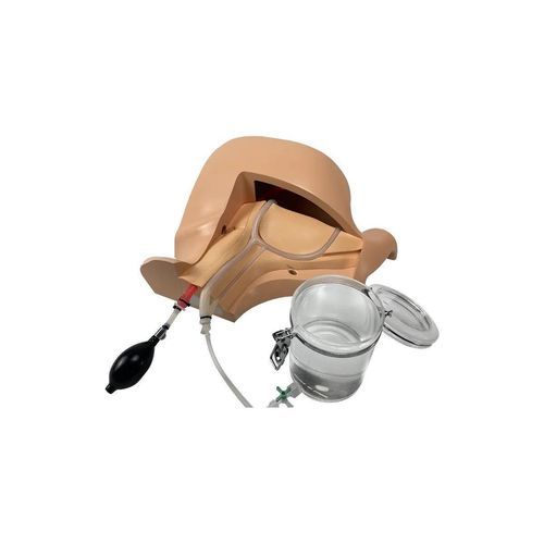 Simulatore di anatomia - CVC-B01 - SurgMate - per assistenza generale / di palpazione / per puntura