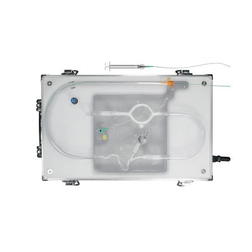 Simulatore neurochirurgico - AVM-B01 - SurgMate - didattico / per embolizzazione cerebrale / per intervento neurovascolare