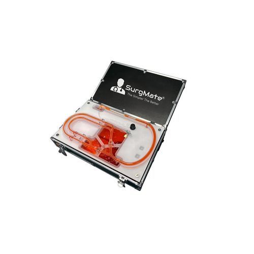 Modello vascolare di sistema circolatorio - CBS-B01 - SurgMate - di arterie coronarie / didattico / con vasi sanguigni