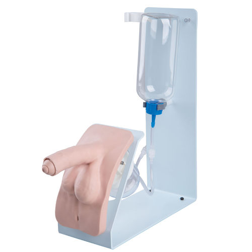 Simulatore per cataterismo - P93B-M - 3B Scientific   - maschile / di pene