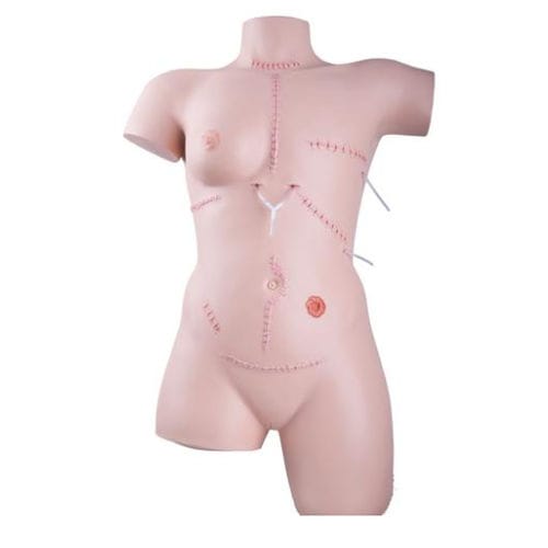 Simulatore per la sutura delle piaghe - P100 - 3B Scientific   - per chirurgia / di torso