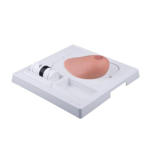 Simulatore per ecografia - P125 - 3B Scientific   - ad uso didattico / per cure cliniche / di tumore