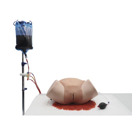 Simulatore didattico - P97P - 3B Scientific   - ostetrico/ginecologico / con trauma / femminile