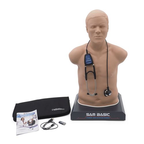 Manichino didattico per auscultazione - SAM Basic® - 3B Scientific   - per interventi di emergenza / di adulto / di torso