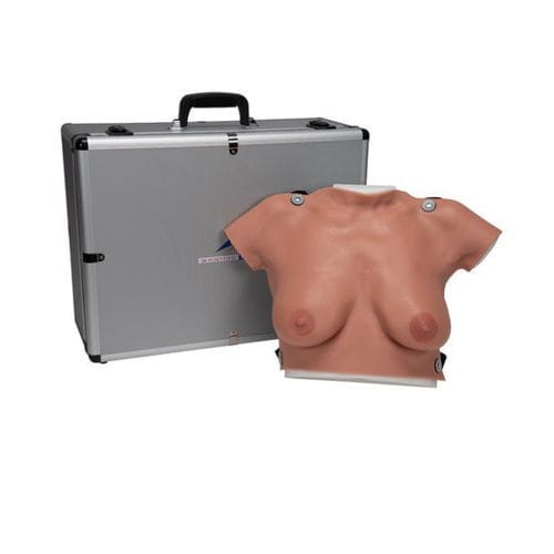 Modello anatomico di seno - L50  - 3B Scientific   - di palpazione mammaria / femminile