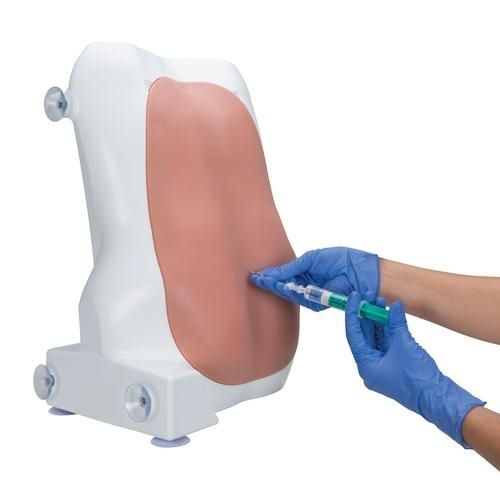 Simulatore per anestesia peridurale - P61 - 3B Scientific   - per cure cliniche / di torso / aptico