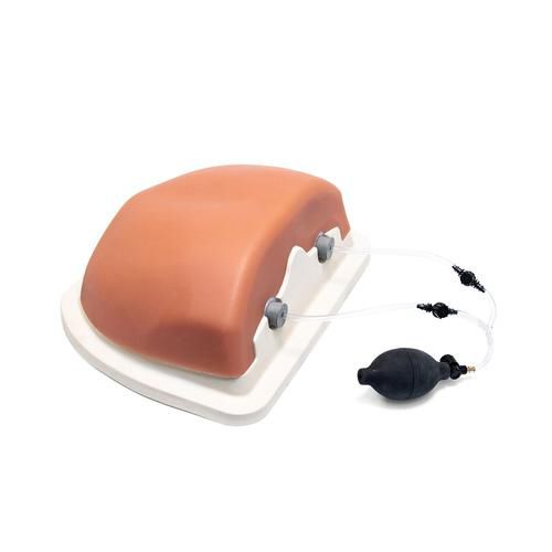 Simulatore per iniezioni intraossee - P66 - 3B Scientific   - per radiologia interventistica / per cure cliniche / pad