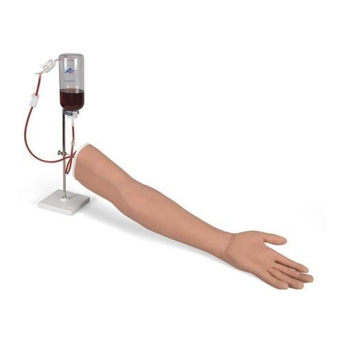 Simulatore per iniezioni endovenose - P50/1 - 3B Scientific   - per cure infermieristiche / di braccio