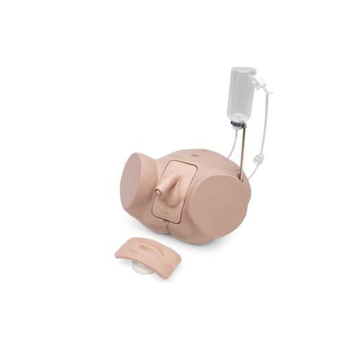 Simulatore per cataterismo - P93SPC-S - 3B Scientific   - femminile / maschile / in kit