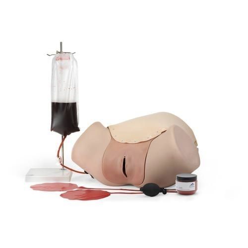 Simulatore didattico - P97 - 3B Scientific   - di parto / ostetrico/ginecologico / femminile