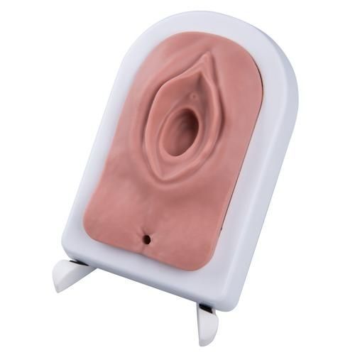 Simulatore di dimostrazione - P95 - 3B Scientific   - per sutura / per chirurgia / ostetrico/ginecologico