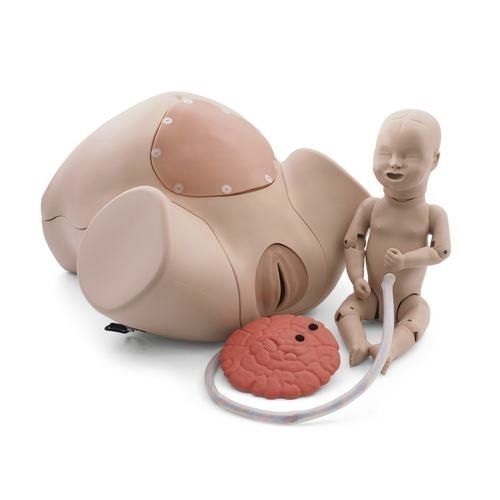 Simulatore didattico - P90PN - 3B Scientific   - di parto / ostetrico/ginecologico / di gravidanza