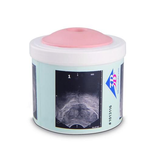 Simulatore di palpazione prostatica - P58/1  - 3B Scientific   - didattico / per cure cliniche / pad