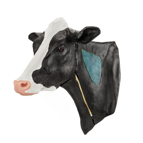 Simulatore per iniezioni intramuscolari - 10255 series - 3B Scientific   - per puntura venosa / didattico / veterinario