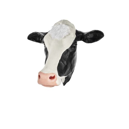 Simulatore didattico - 1025 series - 3B Scientific   - veterinario / canino / di bovino