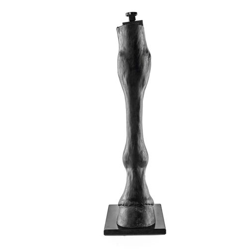 Modello anatomico osseo - 1025582 - 3B Scientific   - colico / di scheletro / di palpazione