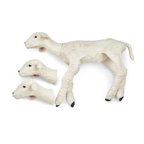 Modello anatomico di corpo intero - 102565 series - 3B Scientific   - veterinario / didattico / bianco