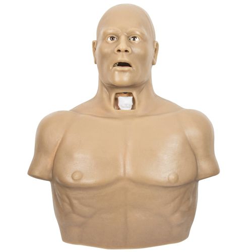 Simulatore per toracocentesi - 6N1 - 3B Scientific   - per assistenza generale / maschile / di torso