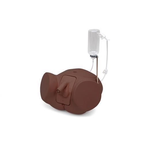 Manichino didattico per cure urologiche - PRO - 3B Scientific   - per cateterismo urinario / per cateterismo maschile / maschile