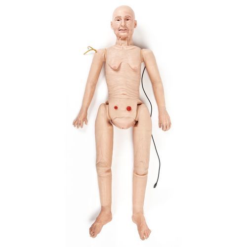 Manichino didattico per cure odontoiatriche - TERi™ - 3B Scientific   - per cure infermieristiche / cure geriatriche / per cura di stomie